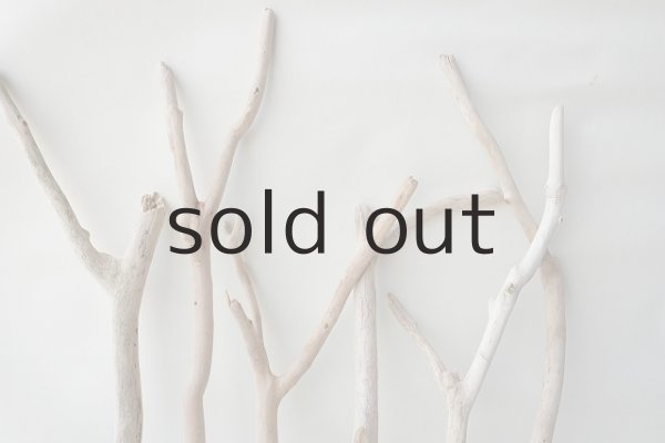 画像3: 小枝流木セット (3)