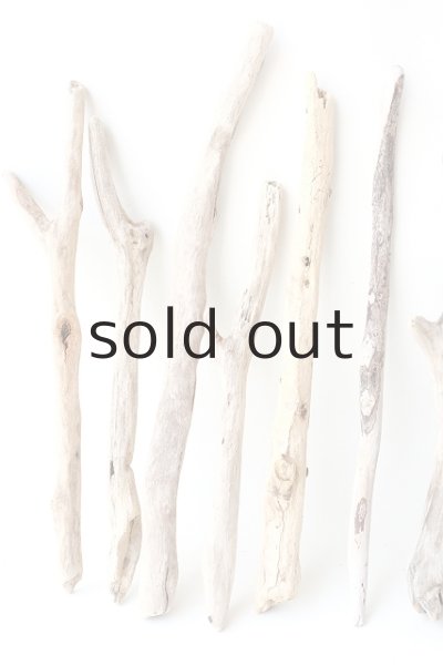 画像2: 小枝流木セット (2)