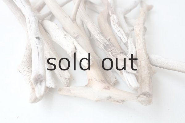 画像8: 小枝流木セット (8)