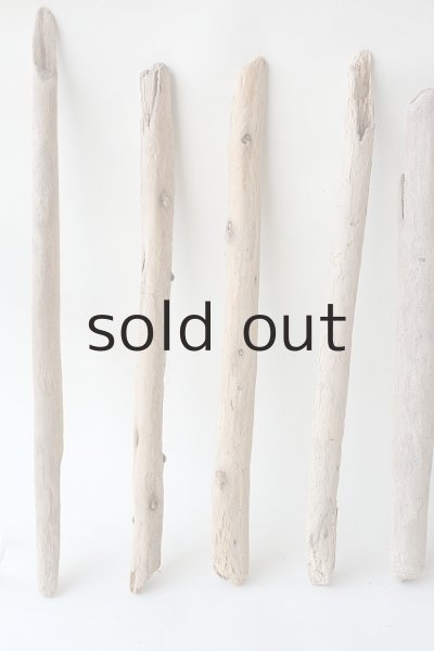 画像2: 棒流木セット (2)