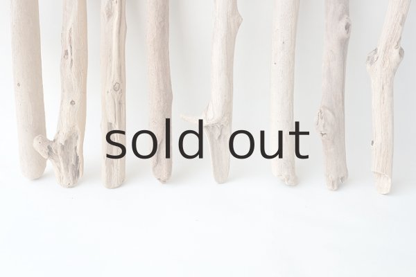 画像5: 小枝流木セット (5)