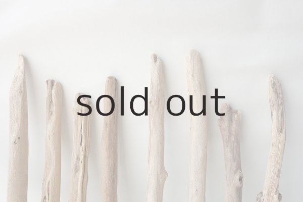 画像6: 小枝流木セット (6)