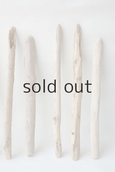 画像3: 棒流木セット (3)