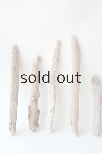 画像2: 小枝流木セット (2)