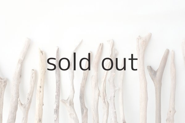 画像7: 小枝流木セット (7)