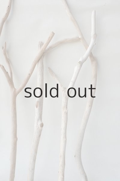 画像5: 小枝流木セット (5)