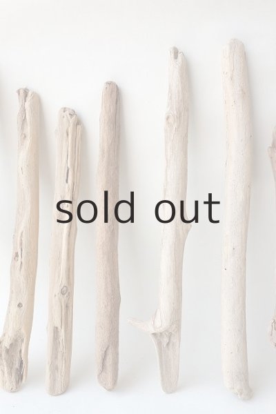 画像3: 小枝流木セット (3)