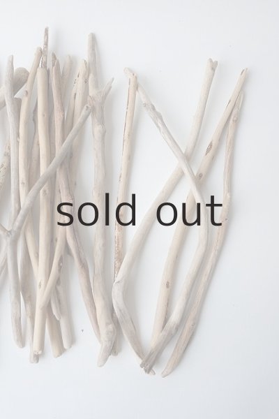 画像4: 小枝流木セット (4)