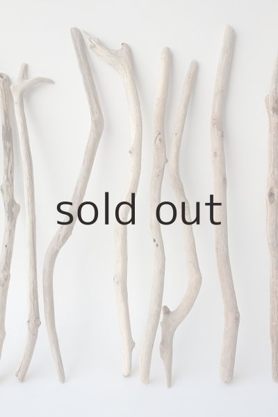 画像5: 小枝流木セット (5)