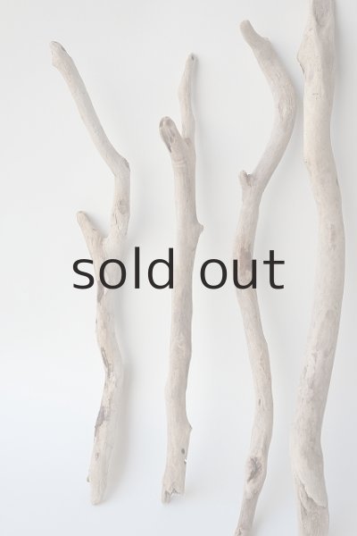 画像2: 小枝流木セット (2)