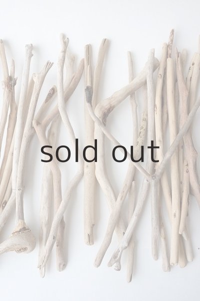 画像3: 小枝流木セット (3)