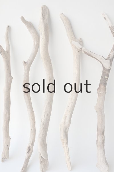 画像3: 小枝流木セット (3)