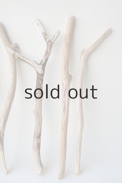 画像4: 小枝流木セット (4)