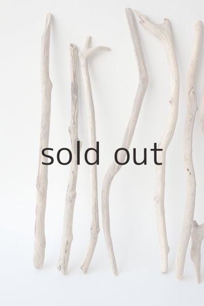 画像4: 小枝流木セット (4)