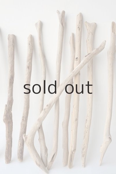 画像3: 小枝流木セット (3)