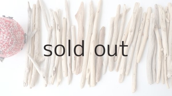 画像2: 小枝流木セット (2)