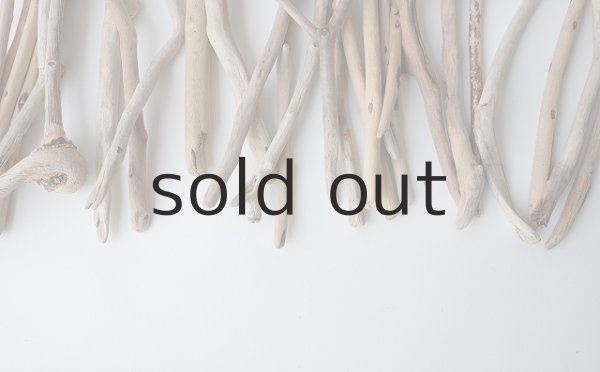 画像5: 小枝流木セット (5)