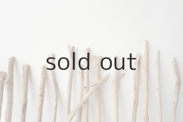 画像6: 小枝流木セット (6)