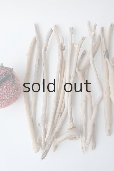 画像2: 小枝流木セット (2)