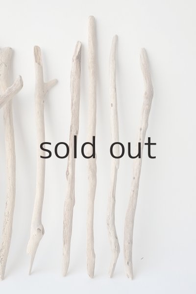 画像4: 小枝流木セット (4)