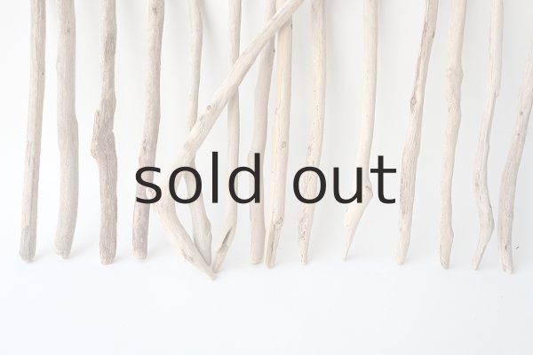 画像5: 小枝流木セット (5)