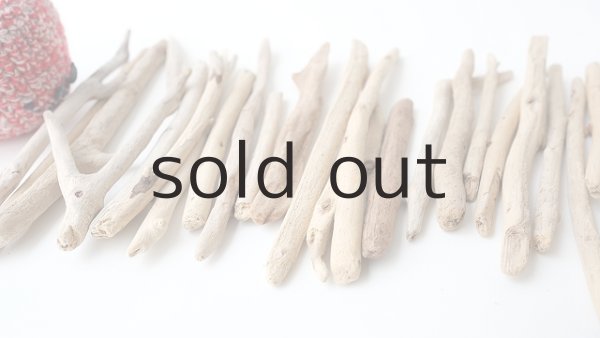 画像5: 小枝流木セット (5)