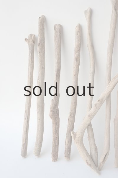 画像2: 小枝流木セット (2)