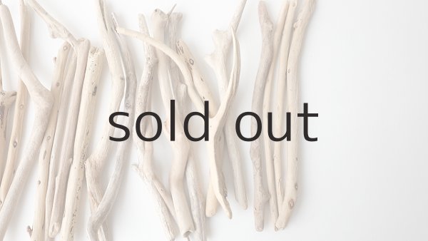 画像4: 小枝流木セット (4)