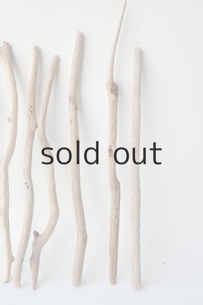 画像6: 小枝流木セット (6)