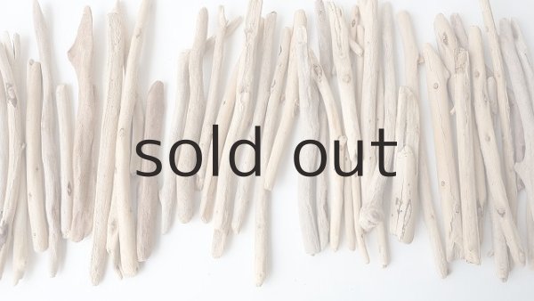 画像3: 小枝流木セット (3)