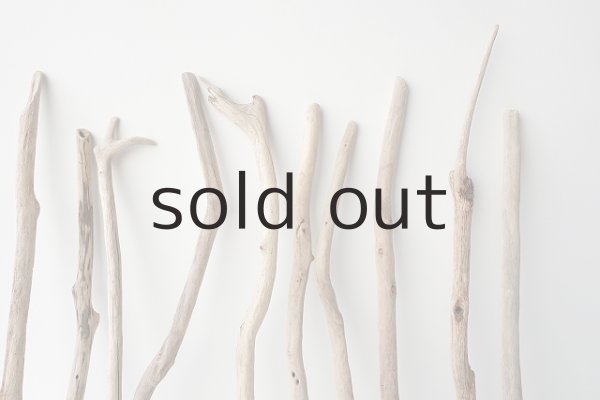 画像3: 小枝流木セット (3)