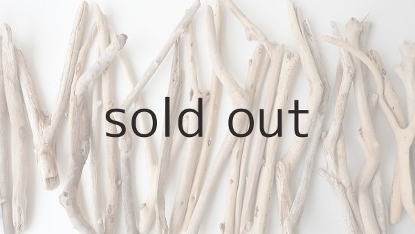 画像3: 小枝流木セット (3)