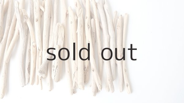 画像4: 小枝流木セット (4)