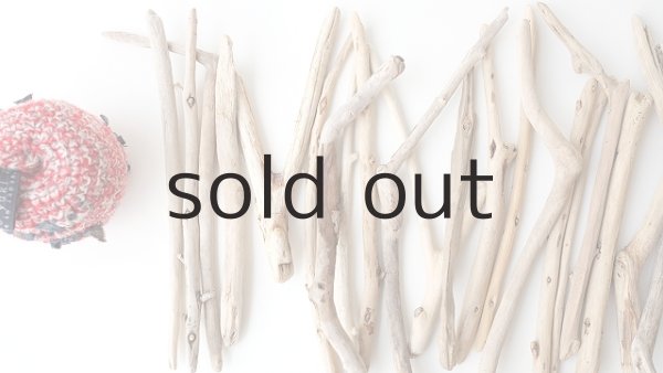 画像2: 小枝流木セット (2)