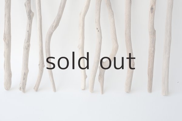 画像2: 小枝流木セット (2)