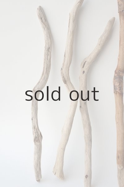 画像2: 小枝流木セット (2)