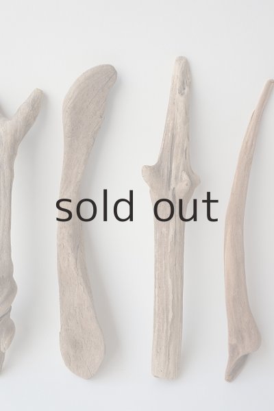 画像3: 変形流木セット (3)