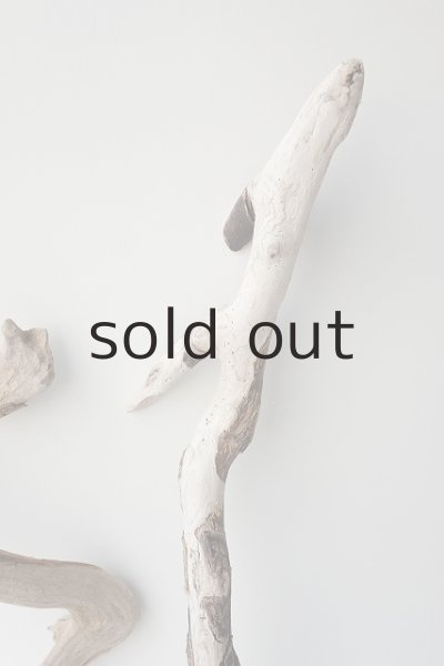 画像4: 流木根セット (4)