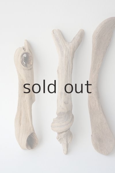 画像2: 変形流木セット (2)