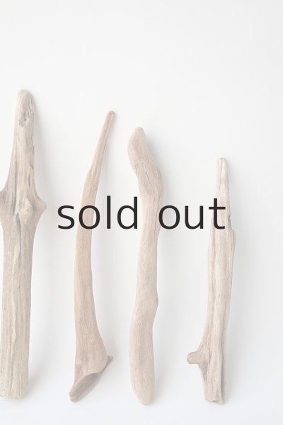 画像5: 変形流木セット (5)