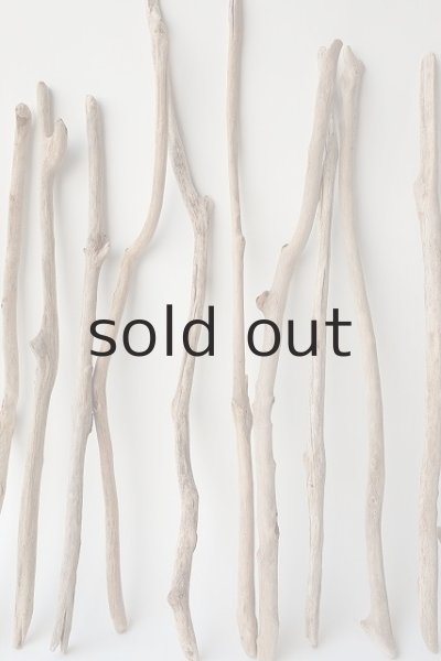 画像3: 小枝流木セット (3)