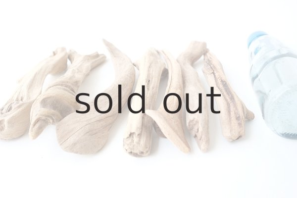 画像7: 変形流木セット (7)