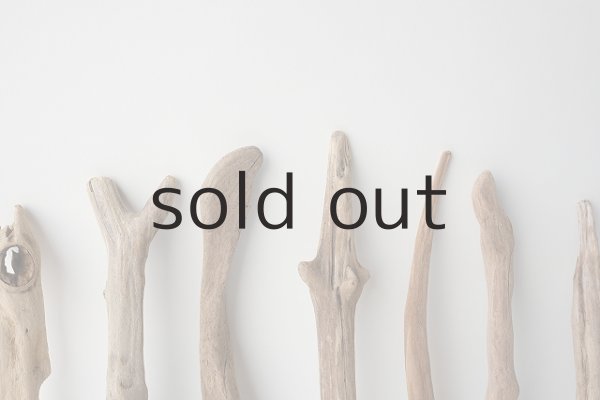 画像6: 変形流木セット (6)