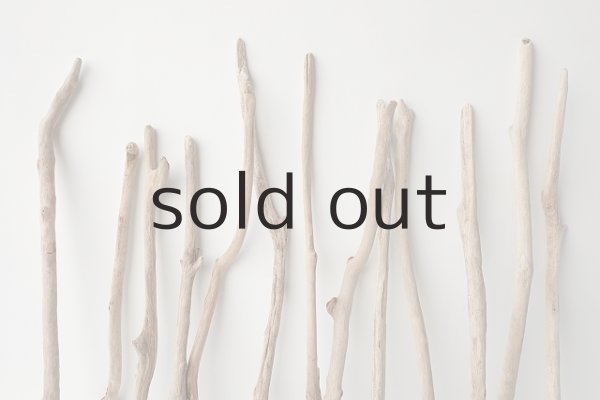 画像6: 小枝流木セット (6)