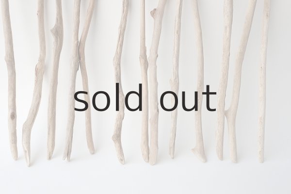 画像5: 小枝流木セット (5)