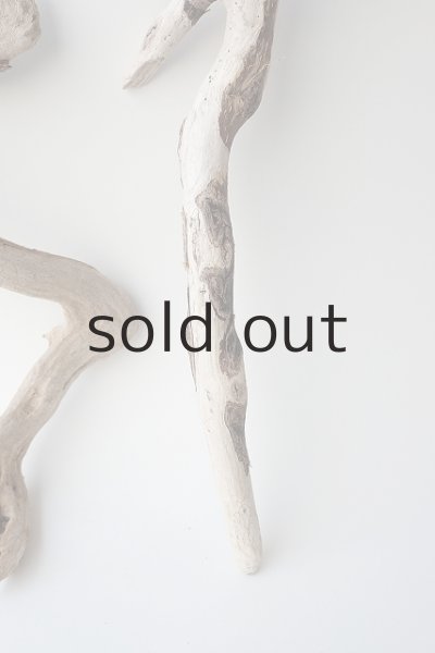 画像5: 流木根セット (5)