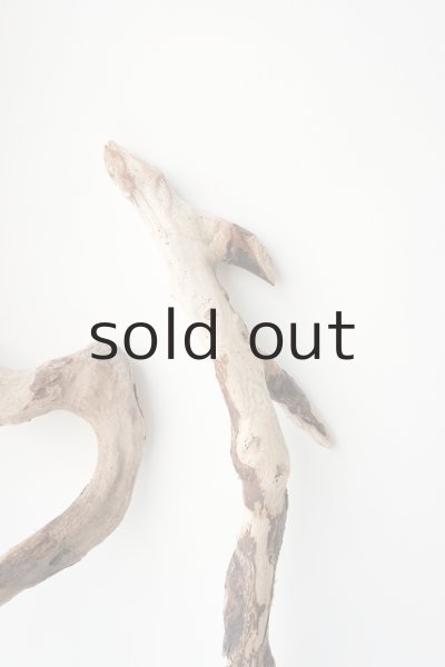 画像6: 流木根セット (6)