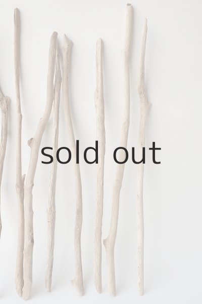 画像4: 小枝流木セット (4)