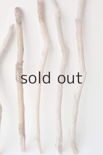 画像3: 小枝流木セット (3)