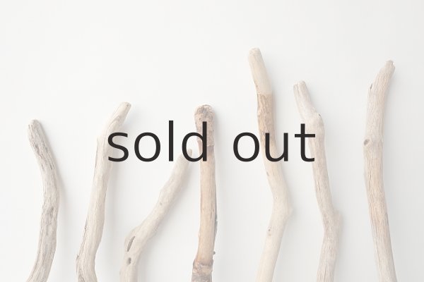 画像5: 小枝流木セット (5)